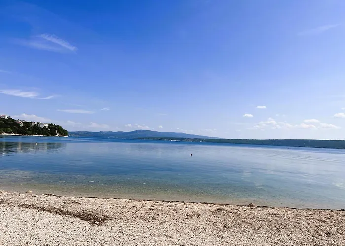 Dobri Dupin * Posedarje