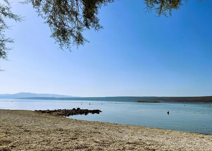 Dobri Dupin * Posedarje