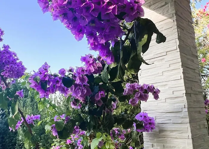 Dobri Dupin Сasa de vacaciones Posedarje