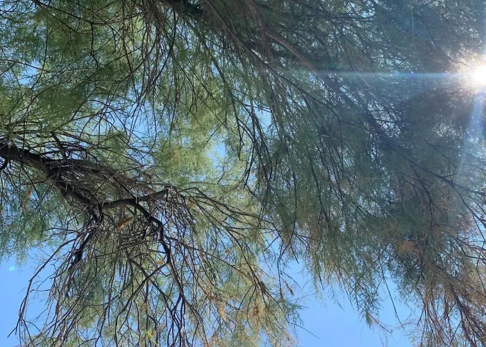 Dobri Dupin Сasa de vacaciones *