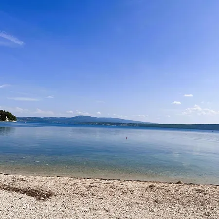 Dobri Dupin * Posedarje