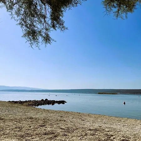 Dobri Dupin * Posedarje