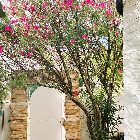 Dobri Dupin Nyaraló Posedarje