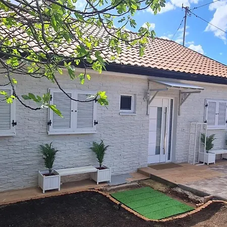 Dobri Dupin Nyaraló